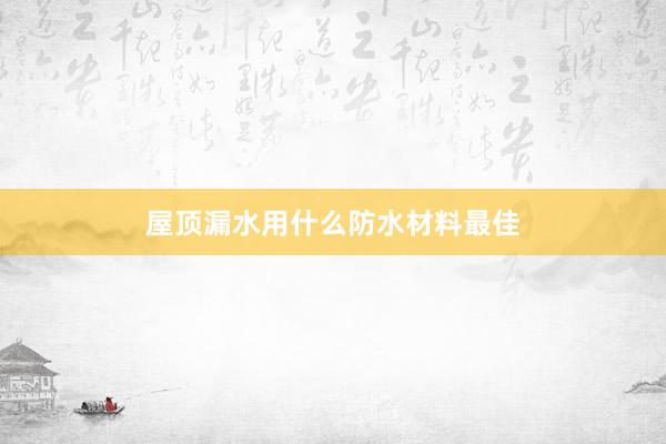 屋顶漏水用什么防水材料最佳